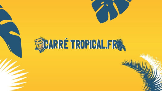 Ils parlent de nous ! (TV, radio, presse) - Carré Tropical