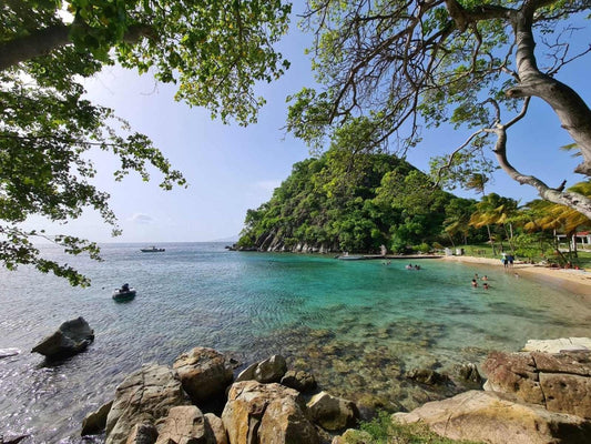 Pieds dans le Sable ⛱️ Votre Guide pour Explorer les Antilles et la Guadeloupe - Carré Tropical