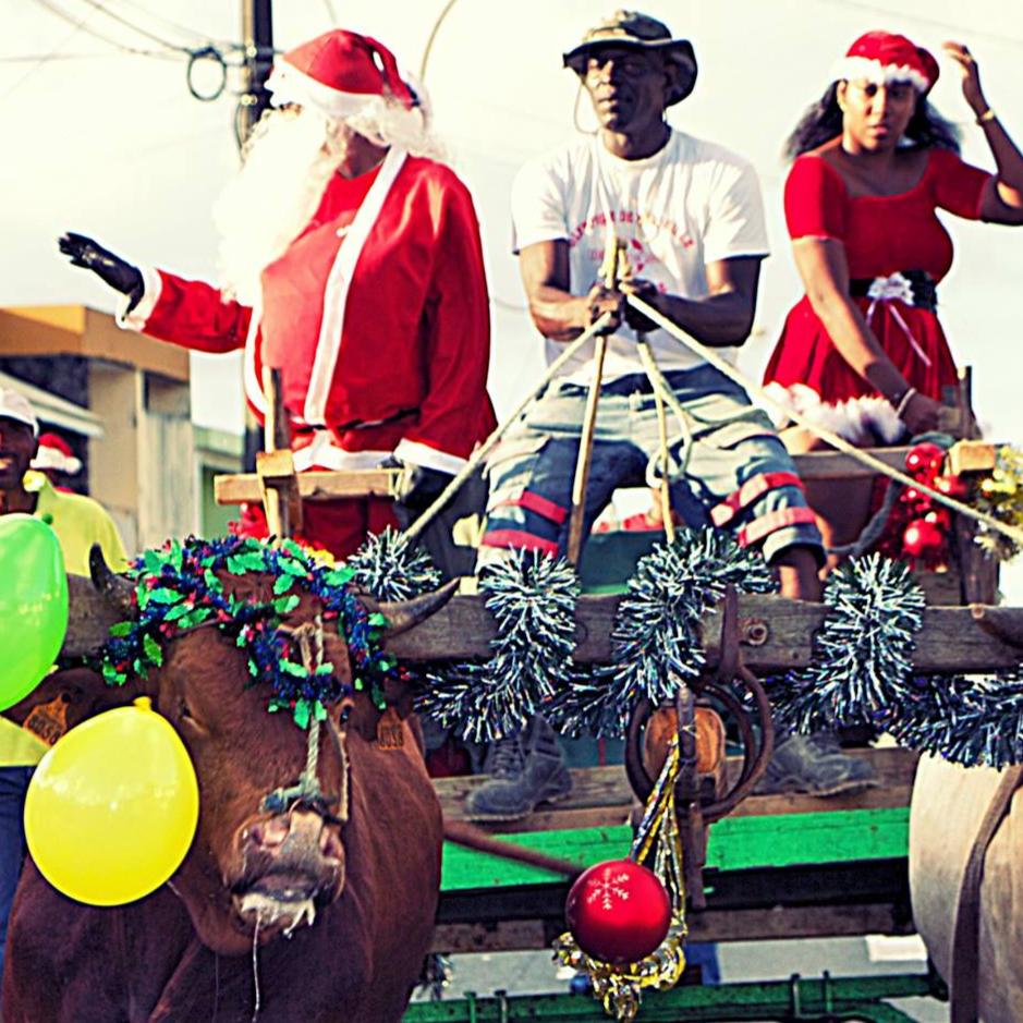 Animation PAPA NWÈL KA RIVÉ 🎅🏽🛺 Arrivée du Père Noël avec sa hôte | remise des cadeaux aux enfants & photos | jusqu'à la fin de l'événement | les enfants chantent pour appeler papa nwèl ✨ - Carré Tropicalen charrette à cabris/bœufs (décorée aux couleurs de Noël)
