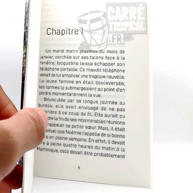 CHIMEN-AN 🛣 Un retour au pays mouvementé | Par Valérie Rodney - Carré TropicalLivres