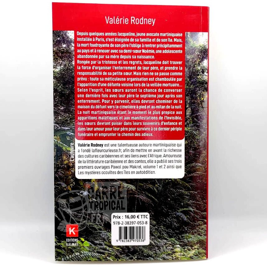 CHIMEN-AN 🛣 Un retour au pays mouvementé | Par Valérie Rodney - Carré TropicalLivres