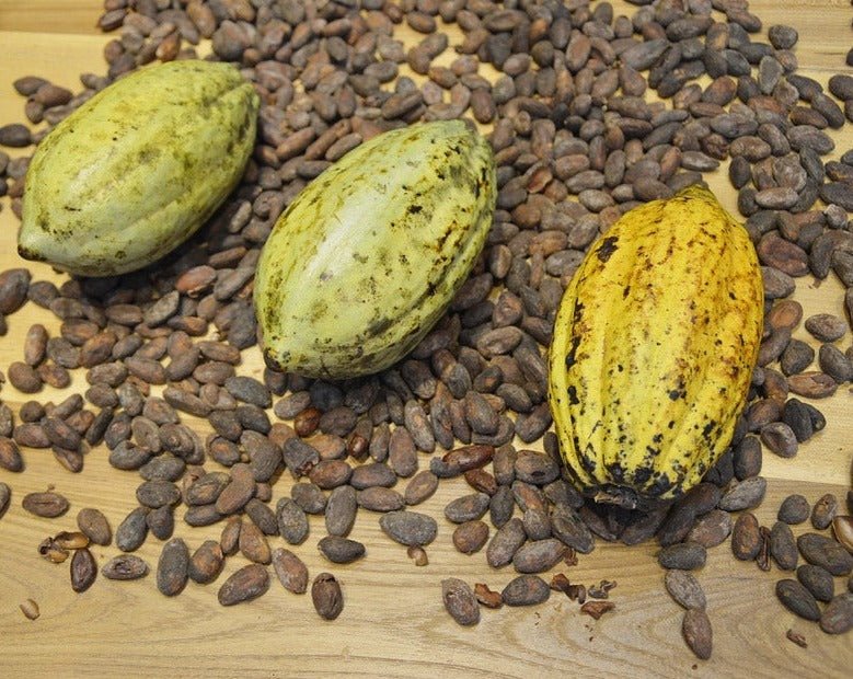CHOCOLAT NOIR 100g 🍫 L'incontournable de la cuisine antillaise | par ELOT - Carré Tropicalchocolat noir
