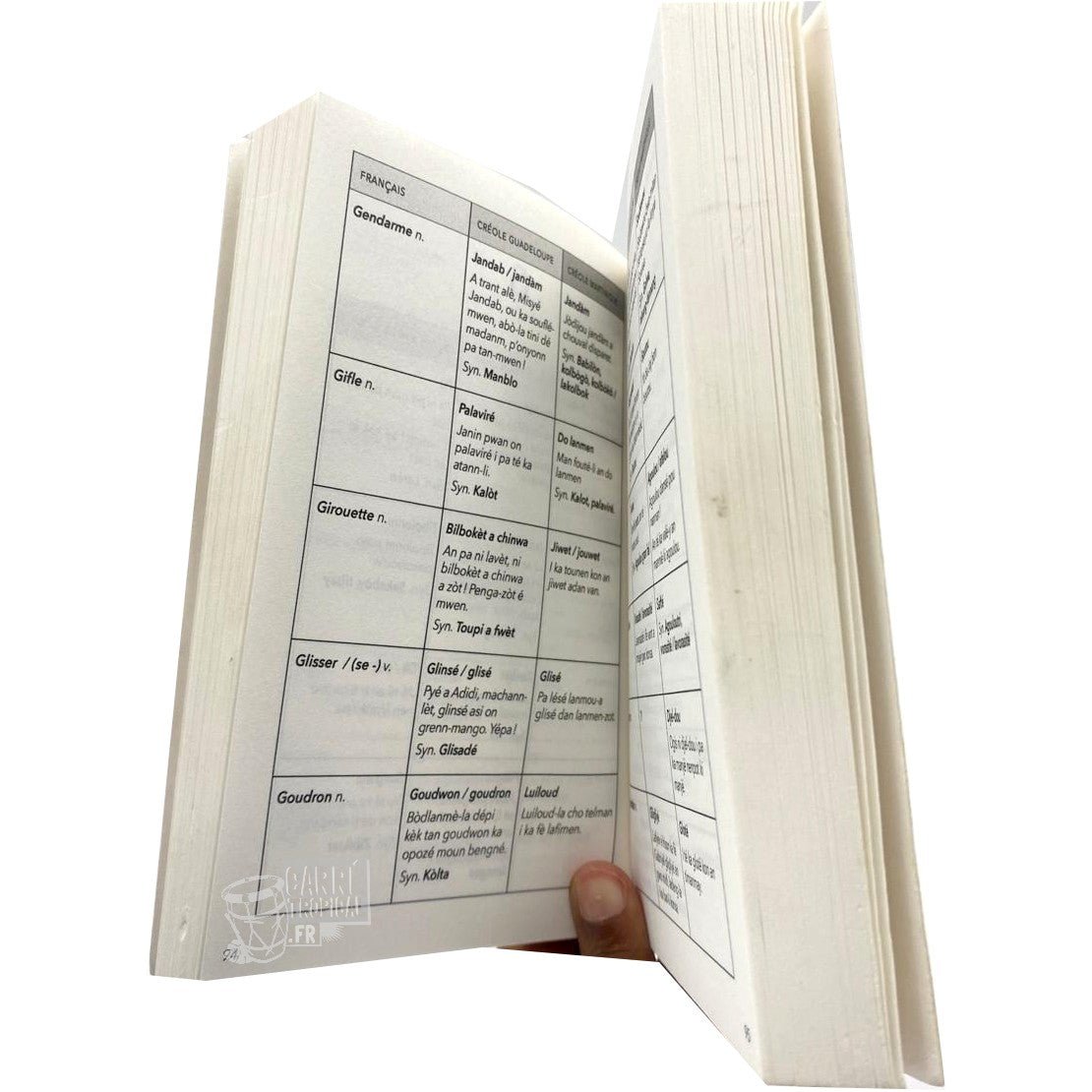DICTIONNAIRE DES CRÉOLES COMPARÉS DE GUADELOUPE ET DE MARTINIQUE 📖 | Par Hector Poullet & Jude Duranty - Carré TropicalLivres