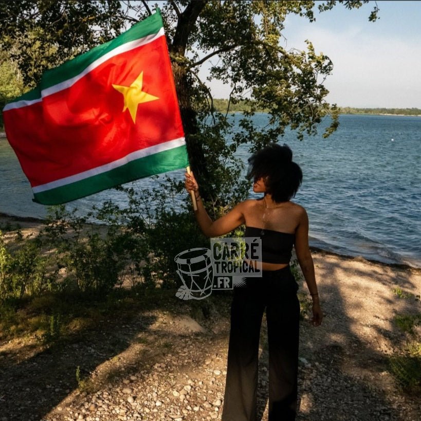 DRAPEAU GUADELOUPE 971 ⭐️ Le symbole de Gwadloup en différentes tailles | par Carré Tropical - Carré TropicalGuirlande de 6m (20 petits drapeaux)drapeaux