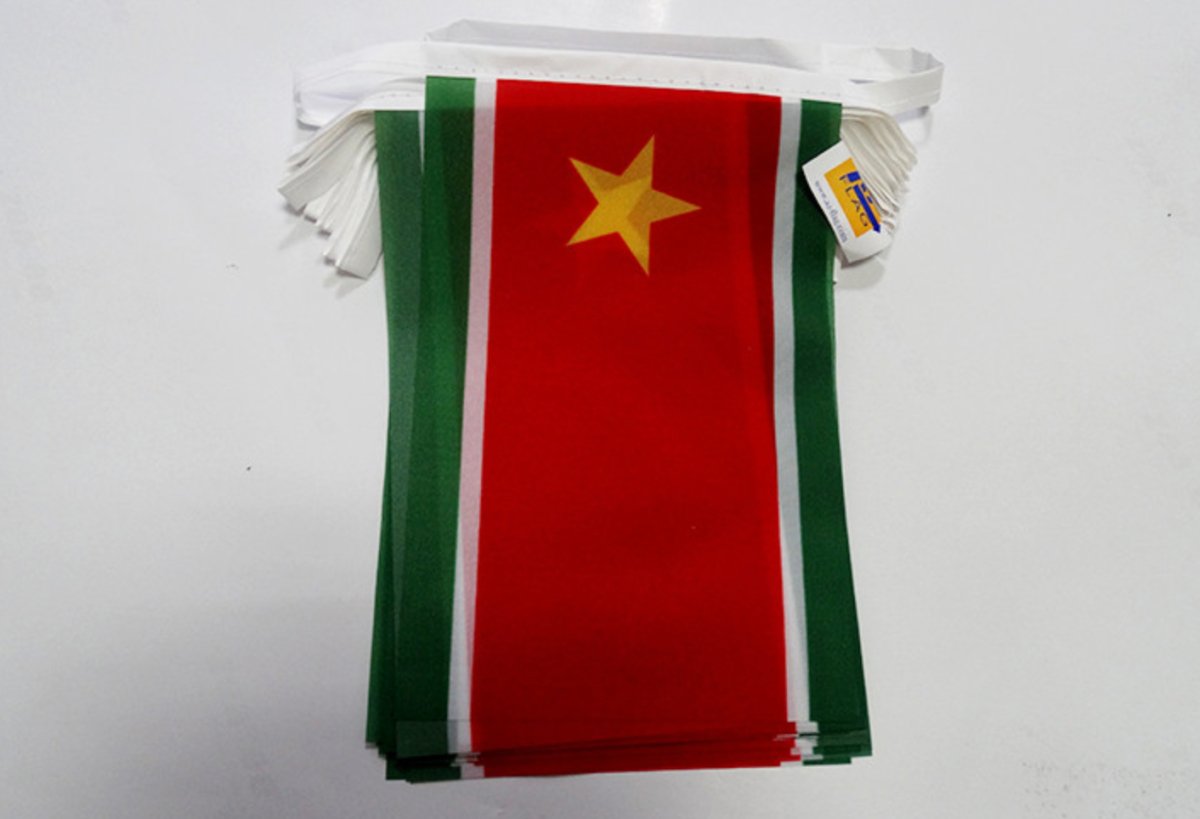 DRAPEAU GUADELOUPE 971 ⭐️ Le symbole de Gwadloup en différentes tailles | par Carré Tropical - Carré TropicalGuirlande de 6m (20 petits drapeaux)drapeaux