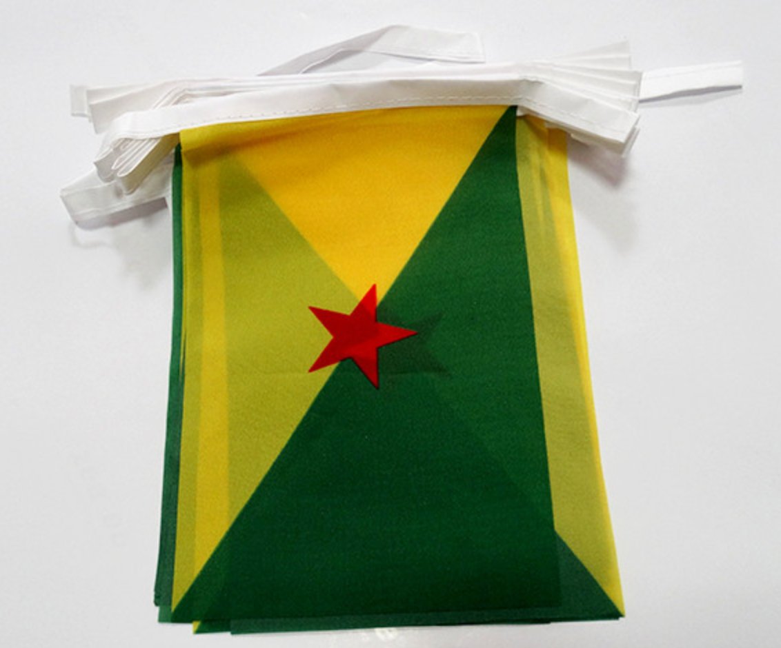 DRAPEAU GUYANE FRANÇAISE 973 🇬🇫 en différents formats et tailles | par Carré Tropical - Carré TropicalGuirlande de 6m (20 petits drapeaux)drapeaux