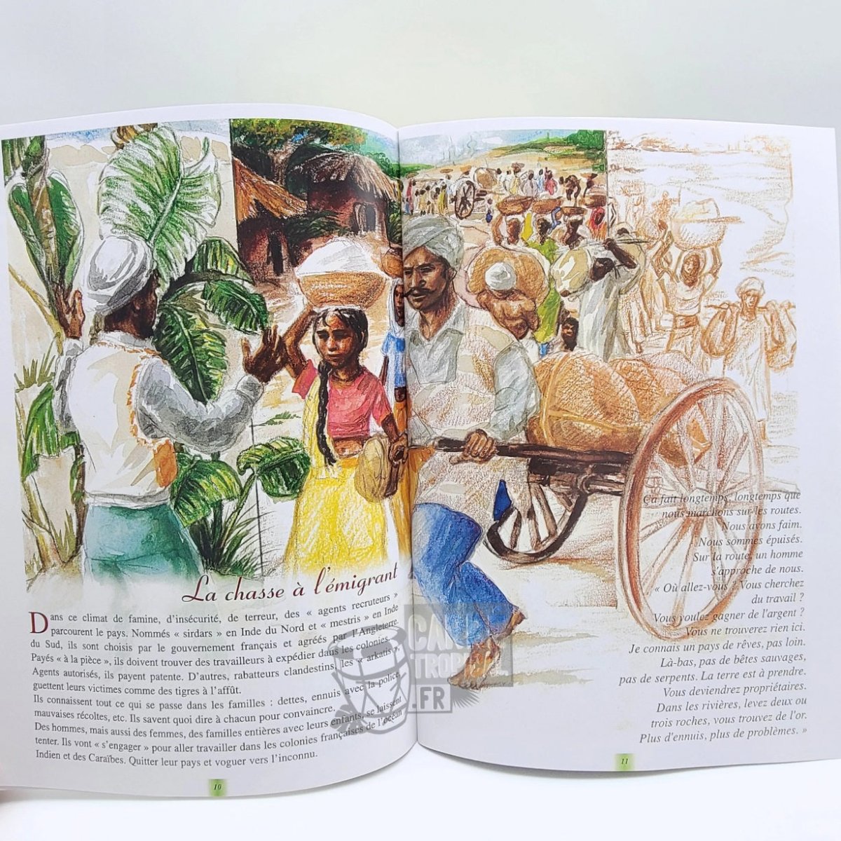 GRAND-MÈRE POURQUOI SUNDARI EST VENUE EN GUADELOUPE ? 📕 l'arrivée des premiers Indiens en Guadeloupe | par Dany Bébel-Gisler - Carré TropicalLivres