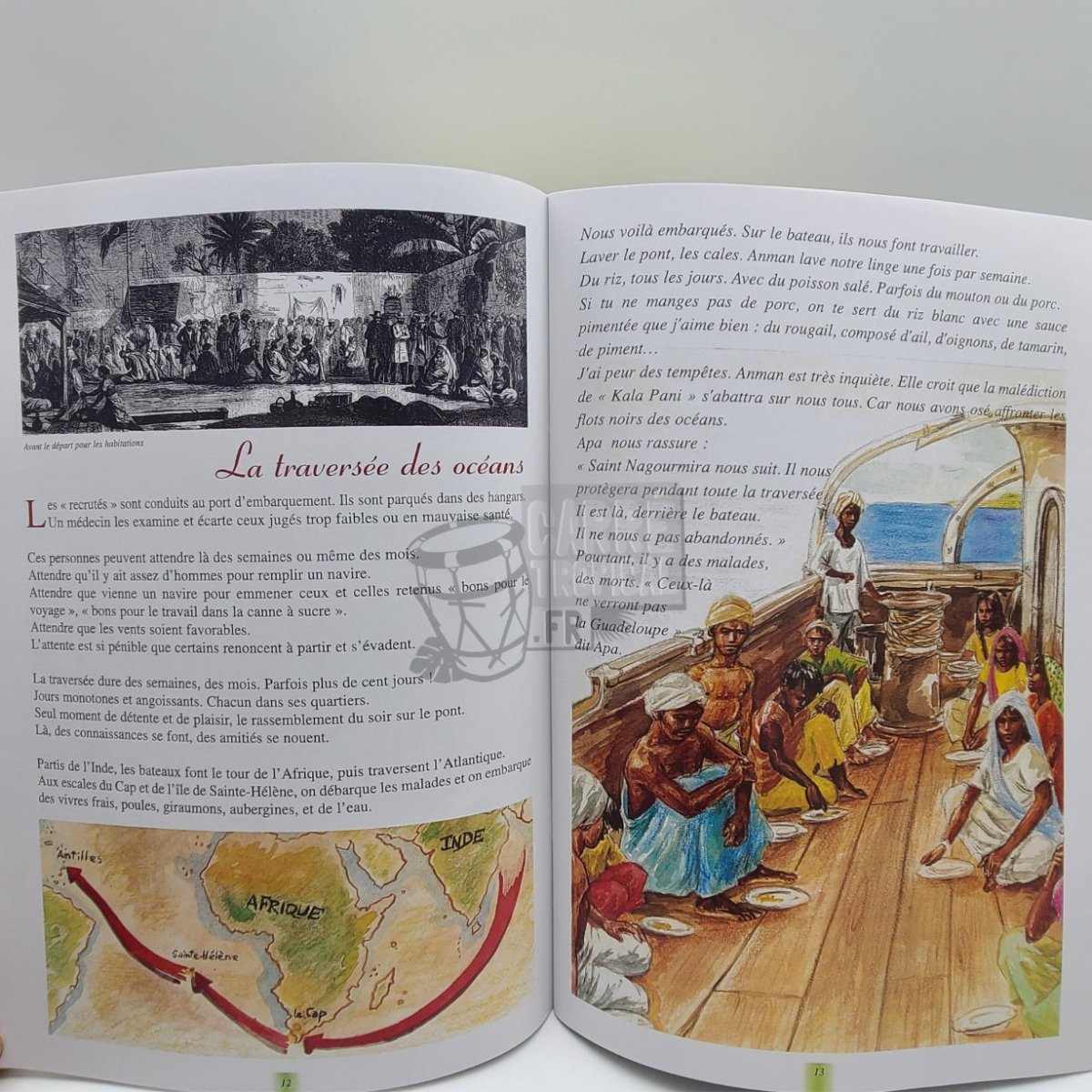 GRAND-MÈRE POURQUOI SUNDARI EST VENUE EN GUADELOUPE ? 📕 l'arrivée des premiers Indiens en Guadeloupe | par Dany Bébel-Gisler - Carré TropicalLivres