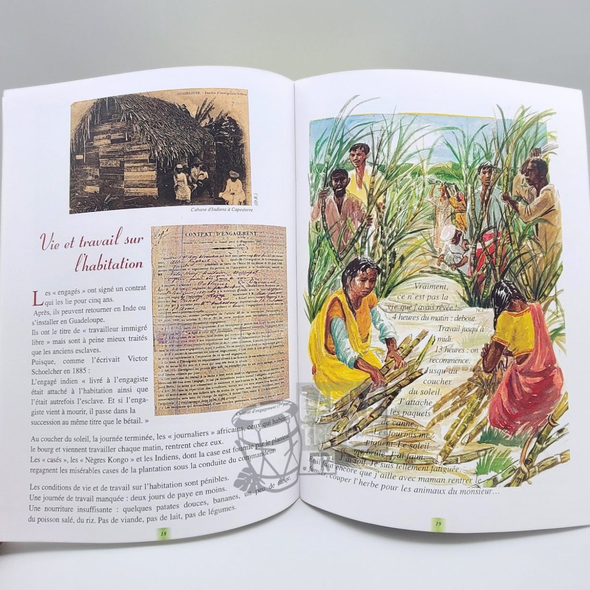 GRAND-MÈRE POURQUOI SUNDARI EST VENUE EN GUADELOUPE ? 📕 l'arrivée des premiers Indiens en Guadeloupe | par Dany Bébel-Gisler - Carré TropicalLivres
