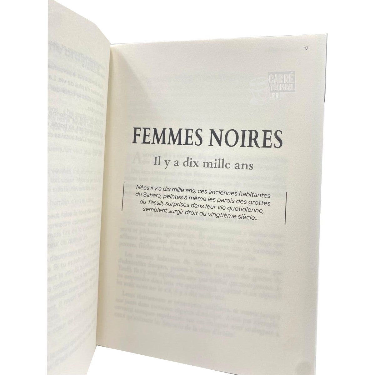 HOMMAGE À LA FEMME NOIRE III 🙎🏾‍♀️ | Par Simone Schwarz-Bart & André Schwarz-Bart - Carré TropicalLivres