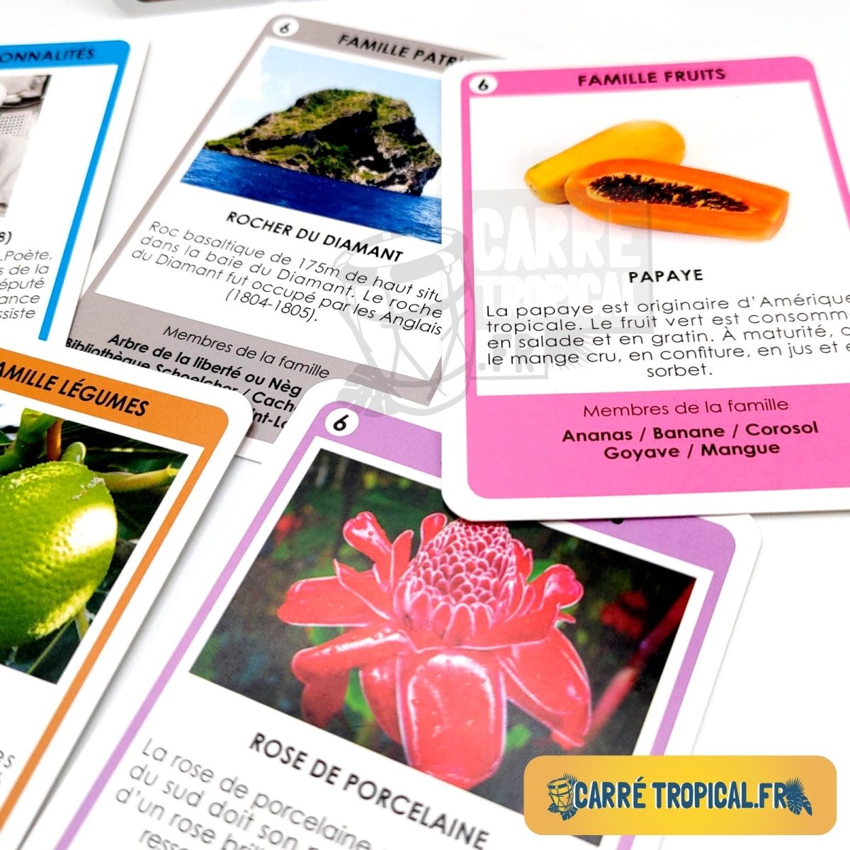 JEU DE 9 FAMILLES 🌴 Je découvre la Martinique | Par Sabine Andrivon-Milton - Carré TropicalJeux de cartes
