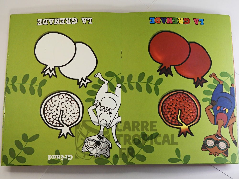 KOLORYÉ FLÈ AN NOU 🌺 Livret de coloriage tropical | Par Didyer Mannette - Carré TropicalLivres