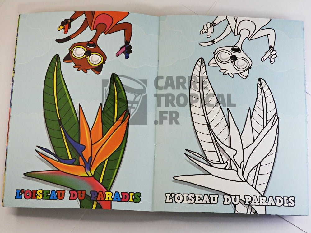 KOLORYĂ FWI AN NOU đ Livret de coloriage tropical | Par Didyer Mannette - CarrĂ© TropicalLivres
