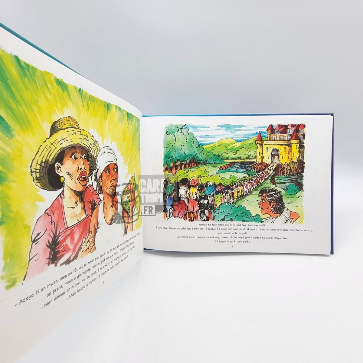 KONT A TIMOUN LAKOU 2 📕 Contes créoles et français | par Marie Louison - Carré TropicalLivres