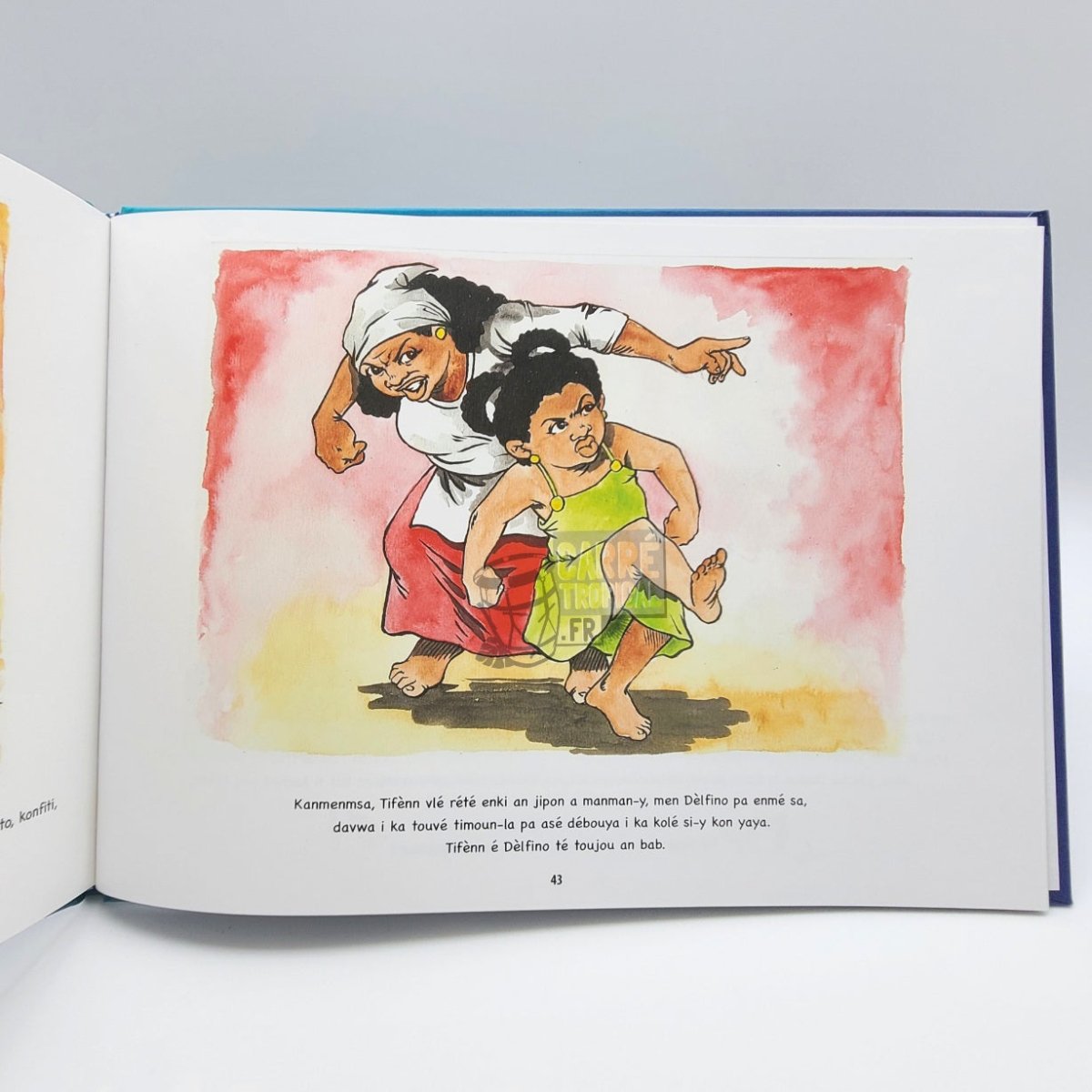KONT A TIMOUN LAKOU 2 📕 Contes créoles et français | par Marie Louison - Carré TropicalLivres