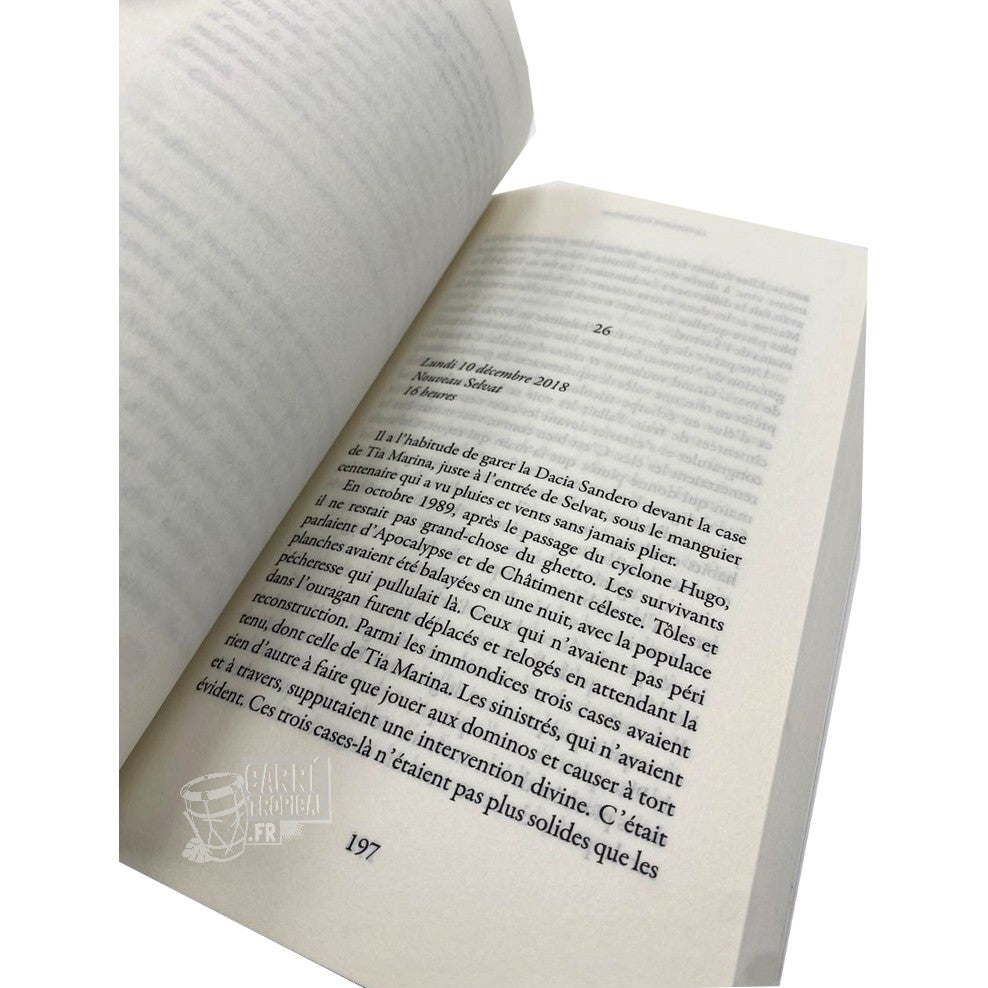 LA COULEUR DE L'AGONIE 📘 Roman policier | Par Gisèle Pineau - Carré TropicalLivres