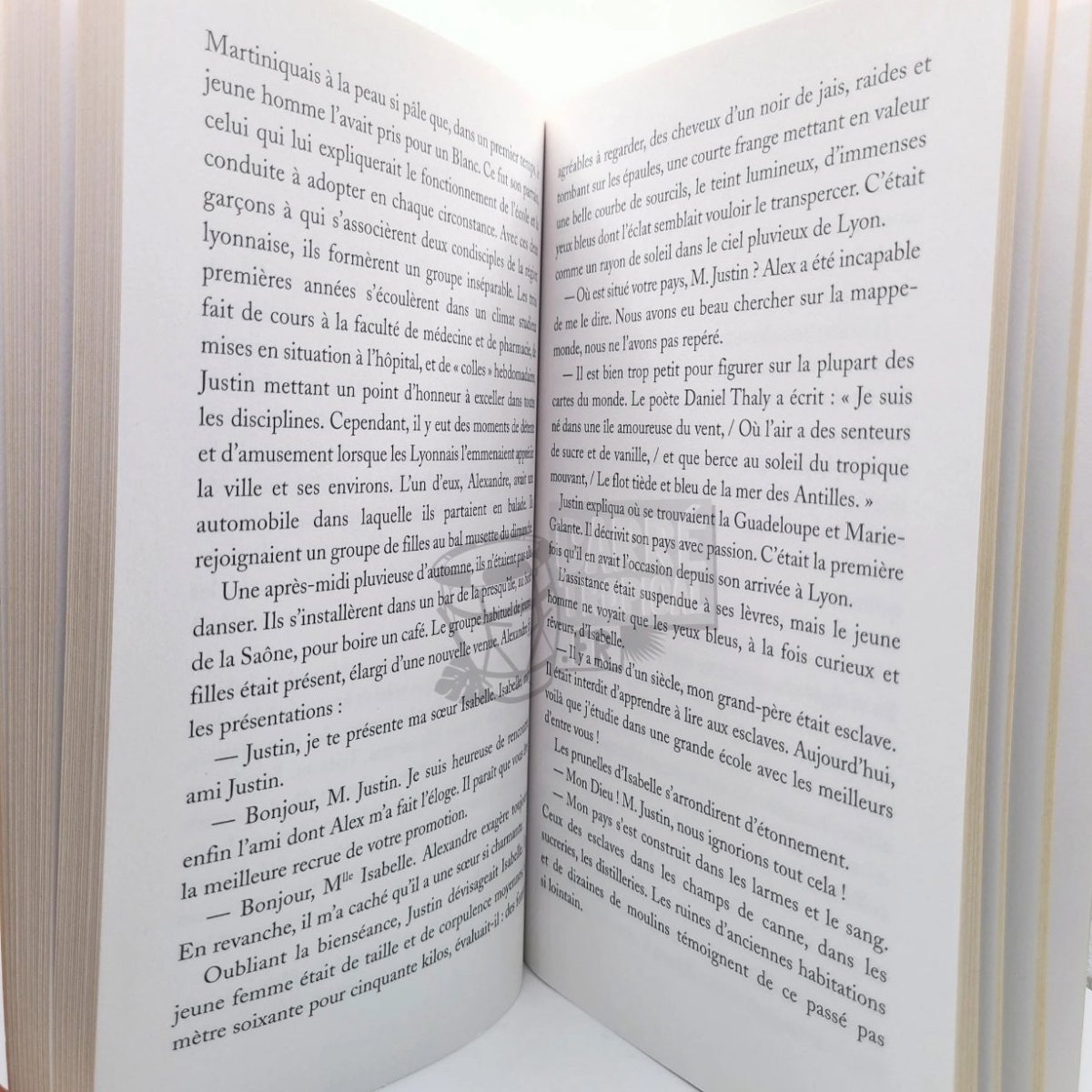 LA VIE RÊVÉE DE MAN SUZANNE 📘 Une histoire Marie-Galantaise | par Arianne Broussilon - Carré TropicalLivres