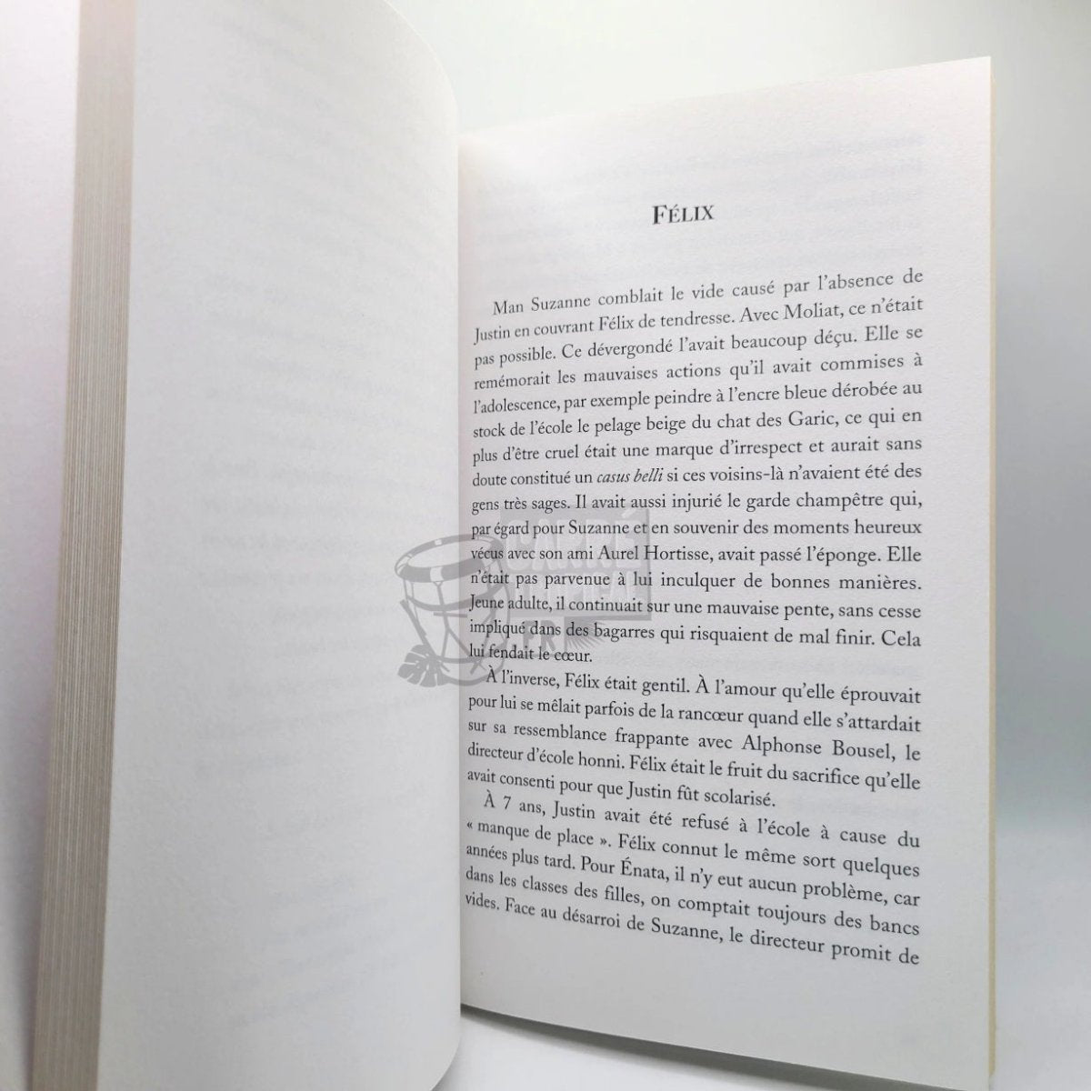 LA VIE RÊVÉE DE MAN SUZANNE 📘 Une histoire Marie-Galantaise | par Arianne Broussilon - Carré TropicalLivres