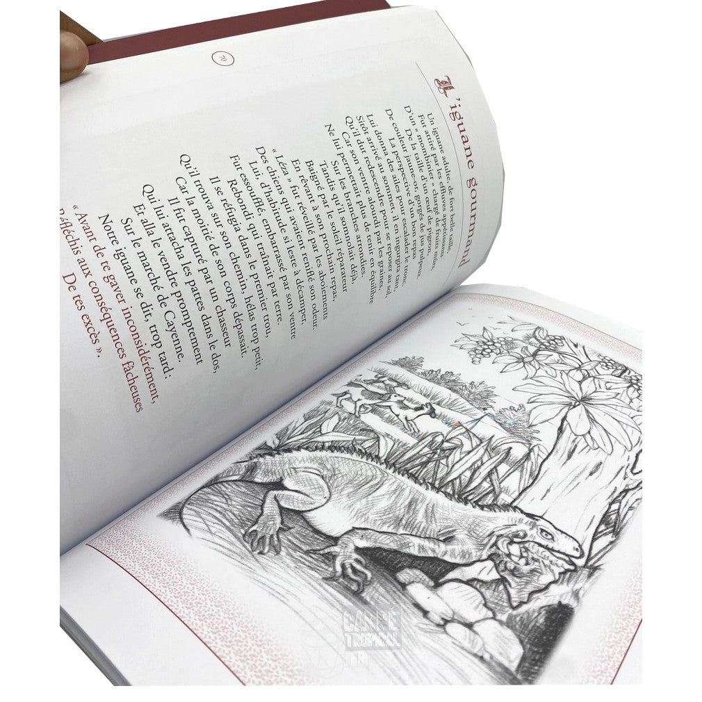 LES FABLES DE GUYANE 📕Premier recueil de Fables pédagogique | Par Pierre Apollinaire STEPHENSON - Carré TropicalLivres