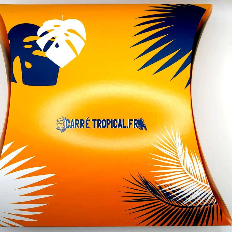 POCHETTE CADEAU 🎁 Emballez la culture avec élégance I par Carré Tropical - Carré Tropicalpochette cadeau