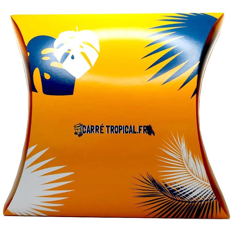 POCHETTE CADEAU 🎁 Emballez la culture avec élégance I par Carré Tropical - Carré Tropicalpochette cadeau