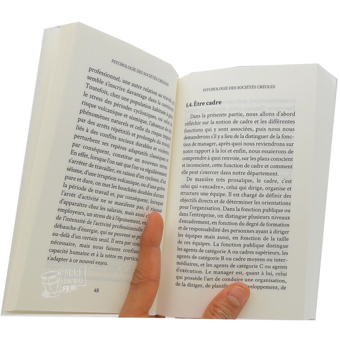 PSYCHOLOGIE DES SOCIÉTÉS CRÉOLES 🧠 la société antillaise | Par Errol Nuissier - Carré TropicalLivres