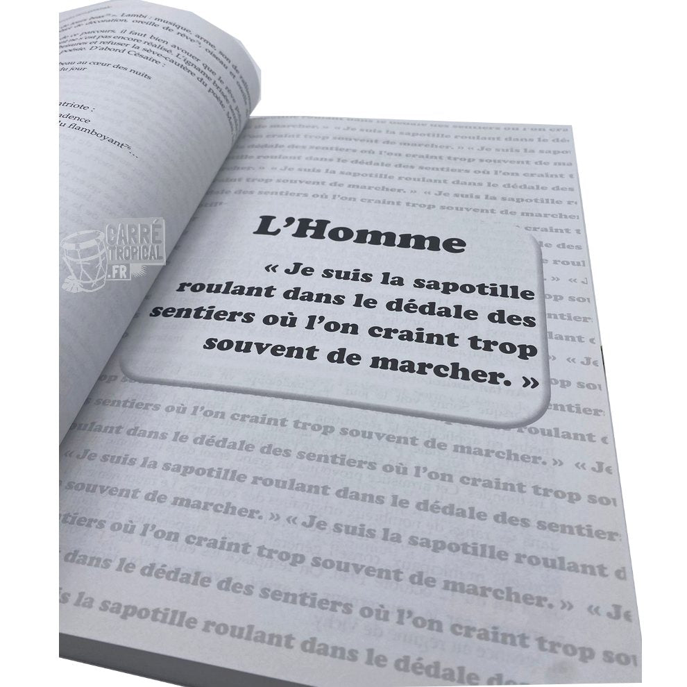 SONNY RUPAIRE 📘 Fils inquiet d'une igname brisée | Par Ronald Selbonne - Carré TropicalLivres