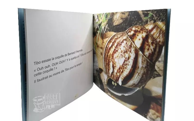 TIBOđle seul escargot Ă ne pas avoir de coquille| Par Sandrine et Christiana Benjamin - CarrĂ© TropicalLivres