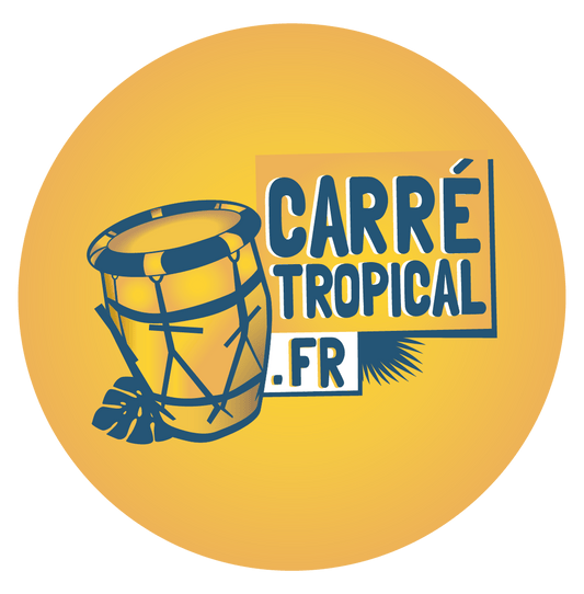 Z | Frais généraux (conception, logistique, déplacement en Martinique, sonorisation portable, ou micro) (Copy) - Carré Tropical