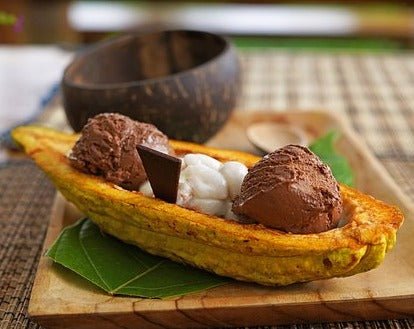 CHOCOLAT NOIR 100g 🍫 L'incontournable de la cuisine antillaise | par ELOT - Carré Tropicalchocolat noir
