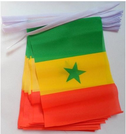 DRAPEAU DU SÉNÉGAL 🇸🇳 En différentes tailles | par Carré Tropical - Carré TropicalGuirlande de 6m (20 petits drapeaux)drapeaux