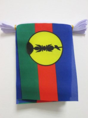 DRAPEAU KANAK 988 🇳🇨 En différentes tailles | par Carré Tropical - Carré TropicalGuirlande de 6m (20 petits drapeaux)drapeaux