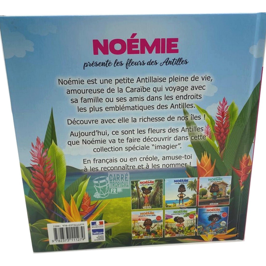 NOÉMIE PRÉSENTE LES FLEURS DES ANTILLES 🌼 Livre jeunesse | Par Jade Amory - Carré TropicalLivres