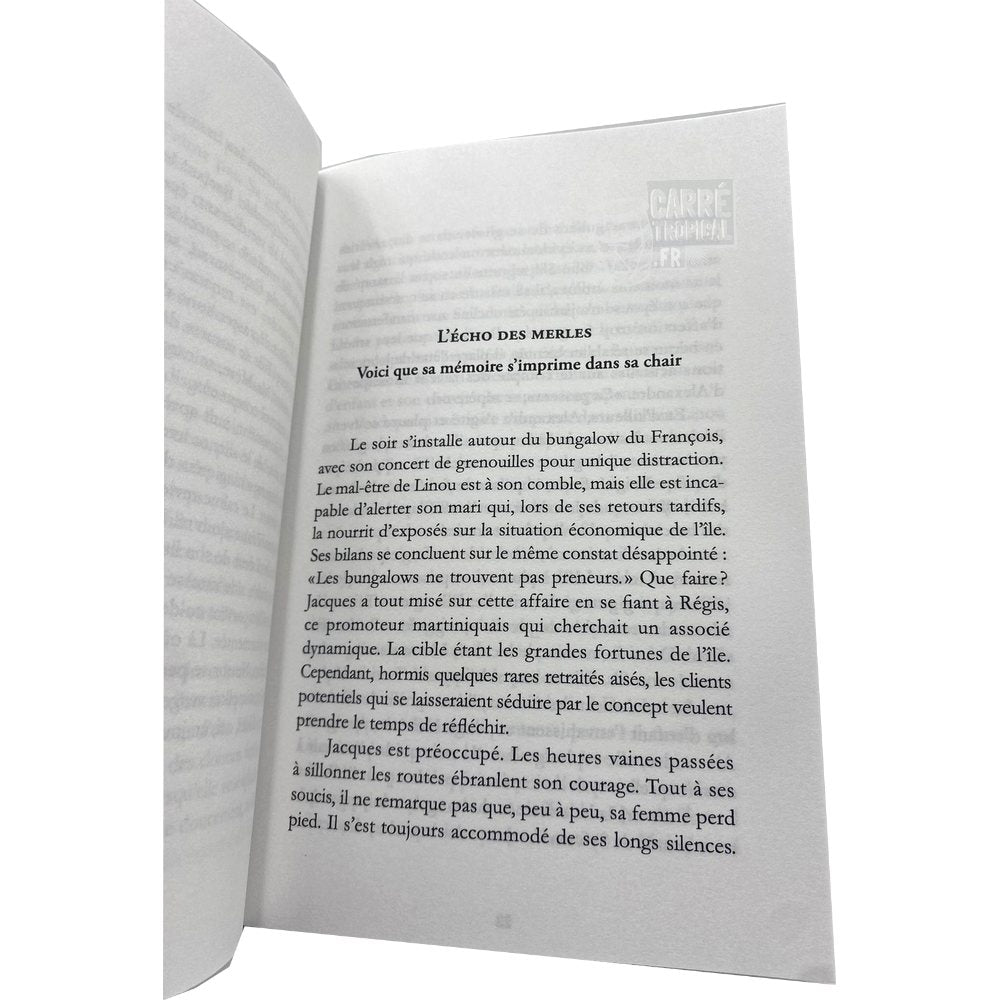 REGARDER L'AMER 📖 Et narguer les écueils-mémoire | Par Eve Millée - Carré TropicalLivres